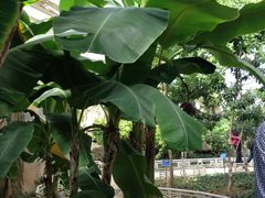 -石家庄市植物园