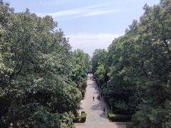 -灵谷景区