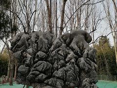 -月坛公园