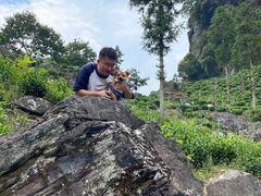 -石台牯牛降景区