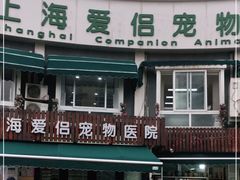 -爱侣宠医·鹦鹉专科·小型哺乳类·异宠专科(灵石路店)