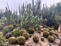 -狐尾山公园