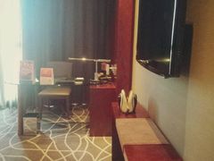 -常州环球恐龙城维景国际大酒店
