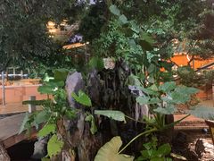 -荔城生鲜盛宴(番禺旗舰店)
