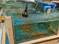 -乐百惠生活超市(米易店)