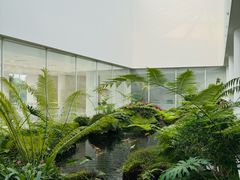 -罗红摄影艺术馆