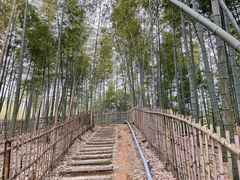 -宁波浙东大竹海景区