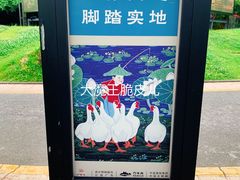 景点-阿哈湖国家湿地公园