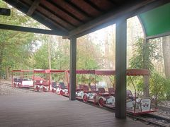 -合肥滨湖国家森林公园