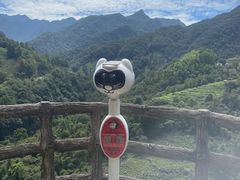 -石台牯牛降景区