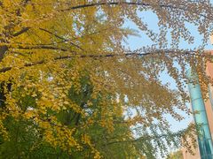 -辽宁大学(崇山校区)