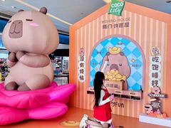 -深圳龙华星河COCO City(民治店)