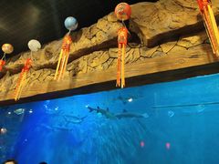 -华夏文旅海洋公园