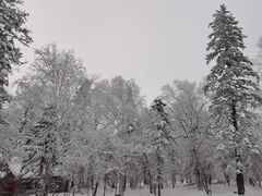 -雪谷
