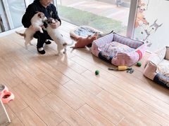 -Double Rui宠物酒店