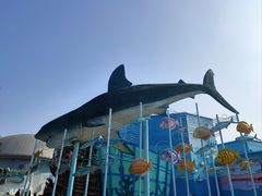 -海合安武汉极地海洋公园