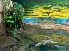 -上海海洋水族馆