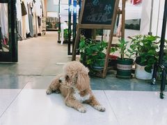 -曼哈顿商业广场(升龙广场店)