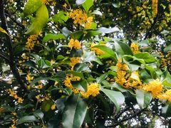 -杭州海华满陇度假酒店