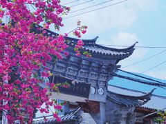 -璞真扎染博物馆