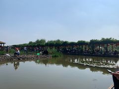 -同銮特种养殖场·龙虾垂钓