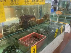-寻味顺德·南记酒家·传统顺德菜·鱼生(广源路店)