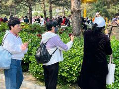 -太阳宫公园