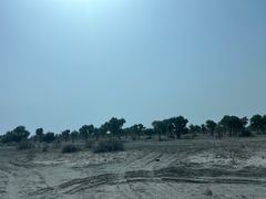 -库车国际酒店(火车站东湖公园店)