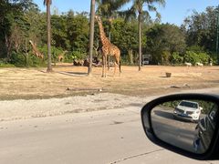 -广州长隆国际大马戏