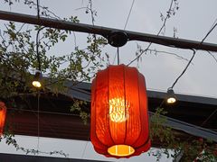 -唐猫庭院·千年陕菜(大唐不夜城店)