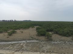 -北海金海湾红树林生态旅游区