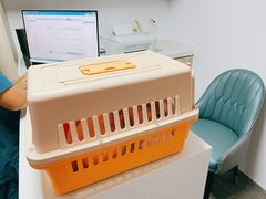 -A猫a狗全科·犬猫异宠·芥西宠物医院(南开总院)