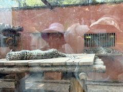 -青藏高原野生动物园