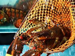 -River Café 海鲜自助(重庆丽笙世嘉酒店)