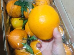 -锦绣大地生鲜食品厅(巨山路店)