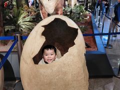 -湖南省地质博物馆