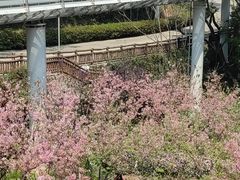 -狐尾山公园