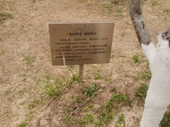 -南翠屏公园