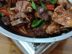 红烧土鸡锅-老虎土菜馆·农家土菜