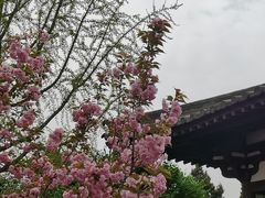 -西安青龙寺遗址景区