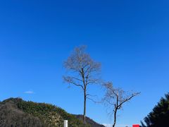 -杭州生仙里国际滑雪场