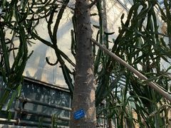 -南山植物园