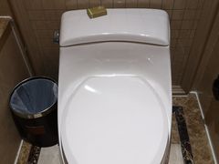 -圣爵菲斯大酒店(长沙世界之窗店)