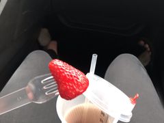 -一树一叶·福建茶档(石鼓路店)