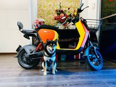 -九号电动车(安定门内大街店)