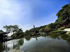 -顺峰山公园