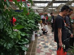 -秦美花卉(天朗·莱茵小城2期店)