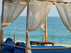 -精酿农场Brew Farm·沙漠绿洲餐厅