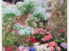 -双季花艺园艺市场(浦东店)