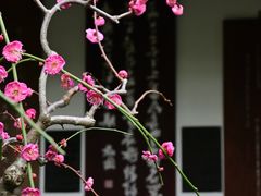 -成都杜甫草堂博物馆